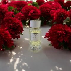 Veralita Linterdit Rouge 50 Ml Kadın