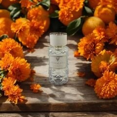 Veralita 212 Woman 50 Ml Kadın