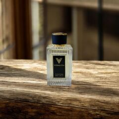 Veralita Terre 100 Ml Erkek